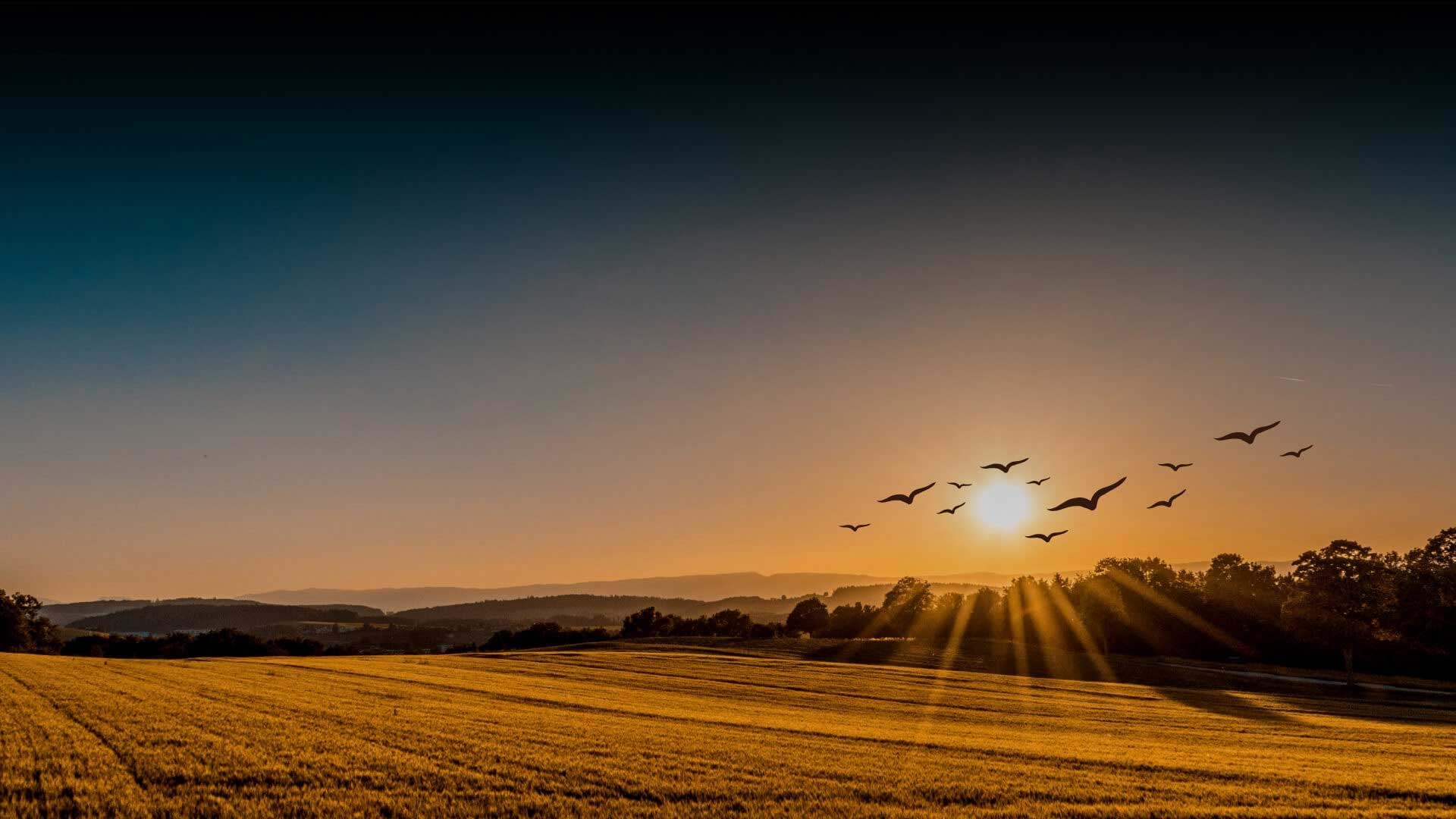 Sonipat Upcoming Projects Sector 34 Banner Image